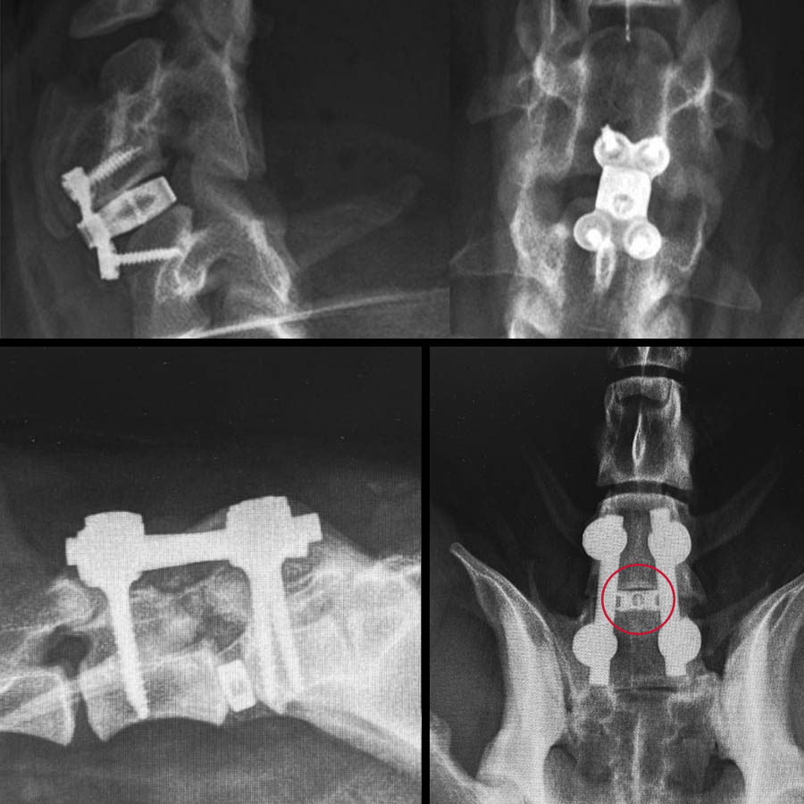 Exclusive 3-Day Spinal Surgery Course